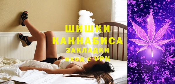 сатива Дмитров
